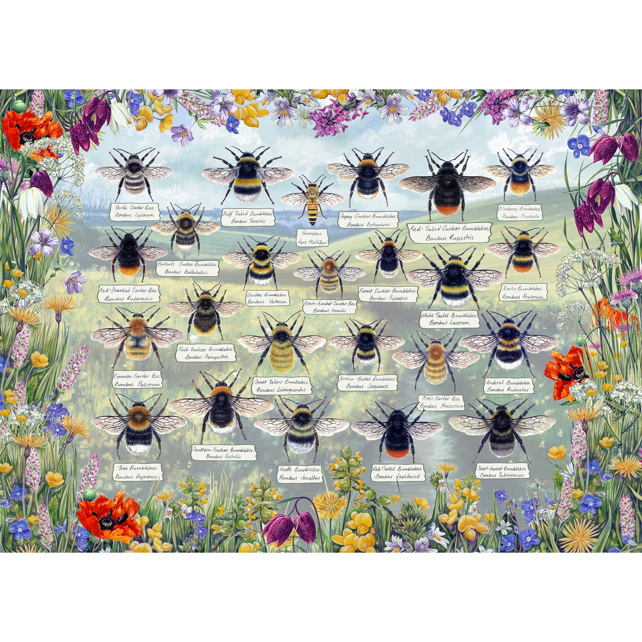 Brilliant Bees - 1000 piece jigsaw