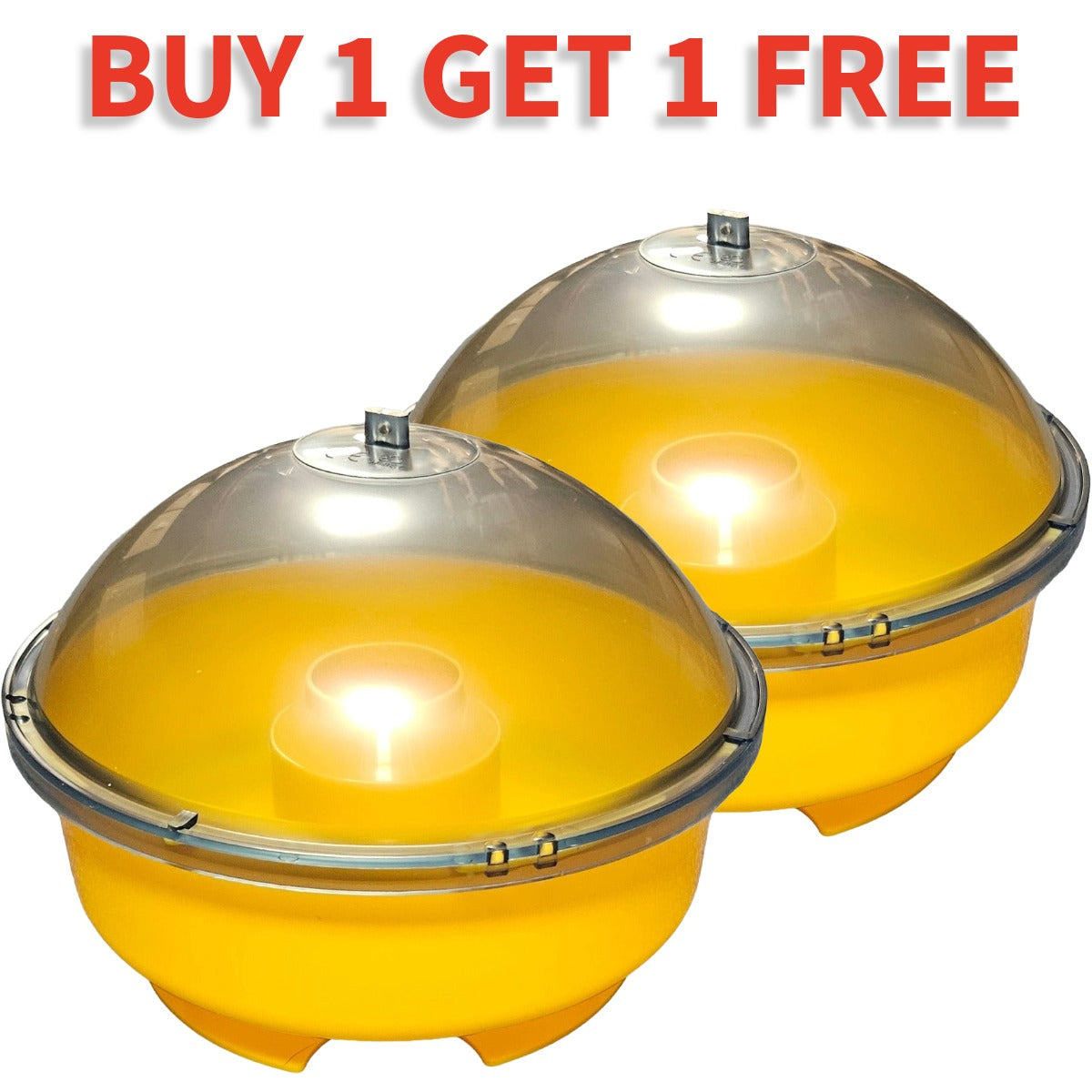 Dome Wasp Trap