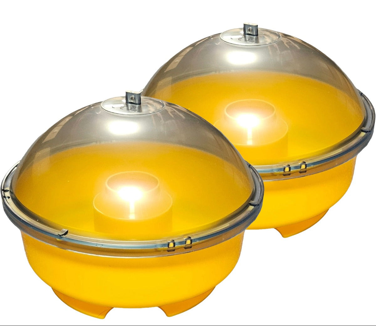 Dome Wasp Trap