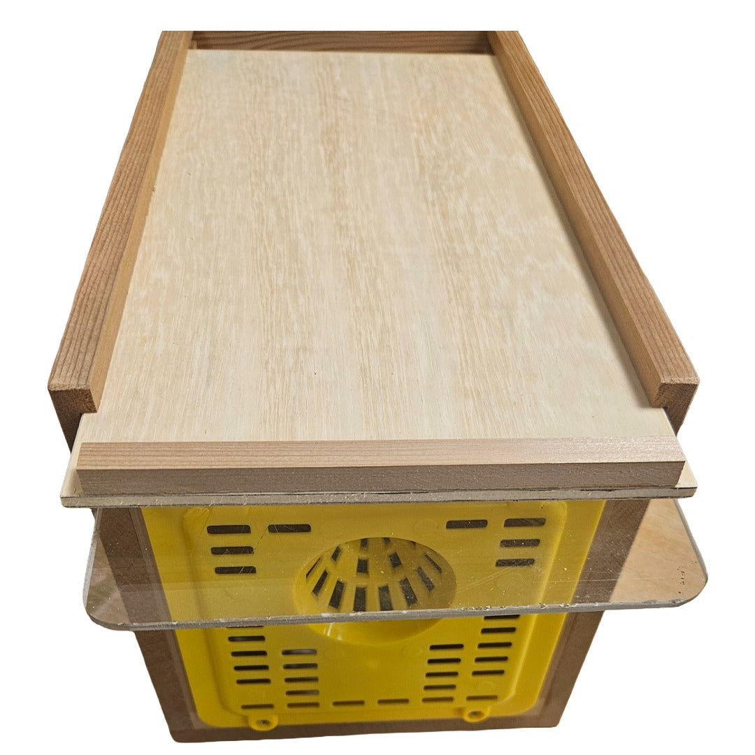 Cedar Hornet Bait Trap