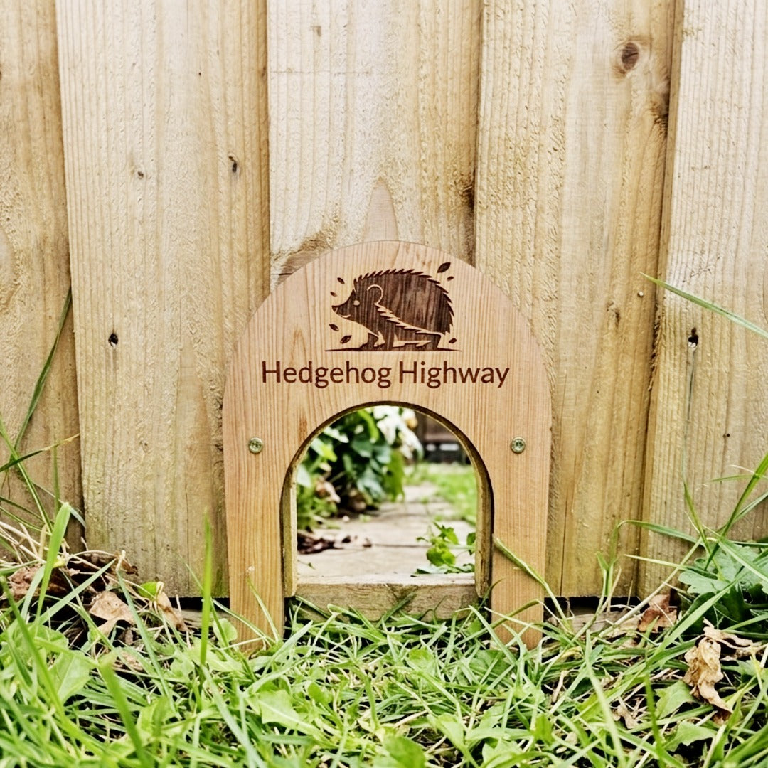 Cedar Hedgehog Highway