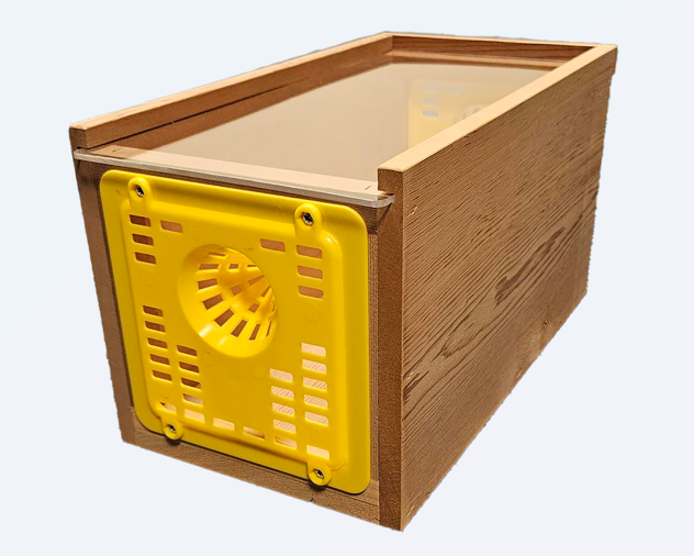 Cedar Hornet Bait Trap