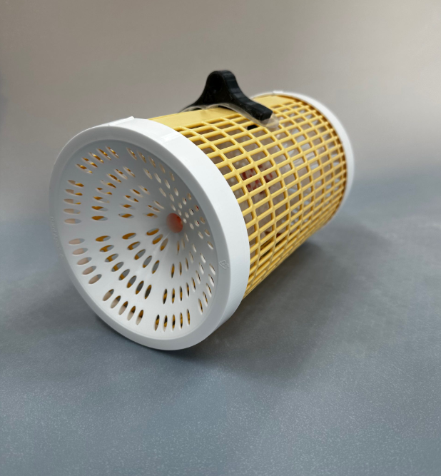 Hornet Trap - GardApis Sentinel