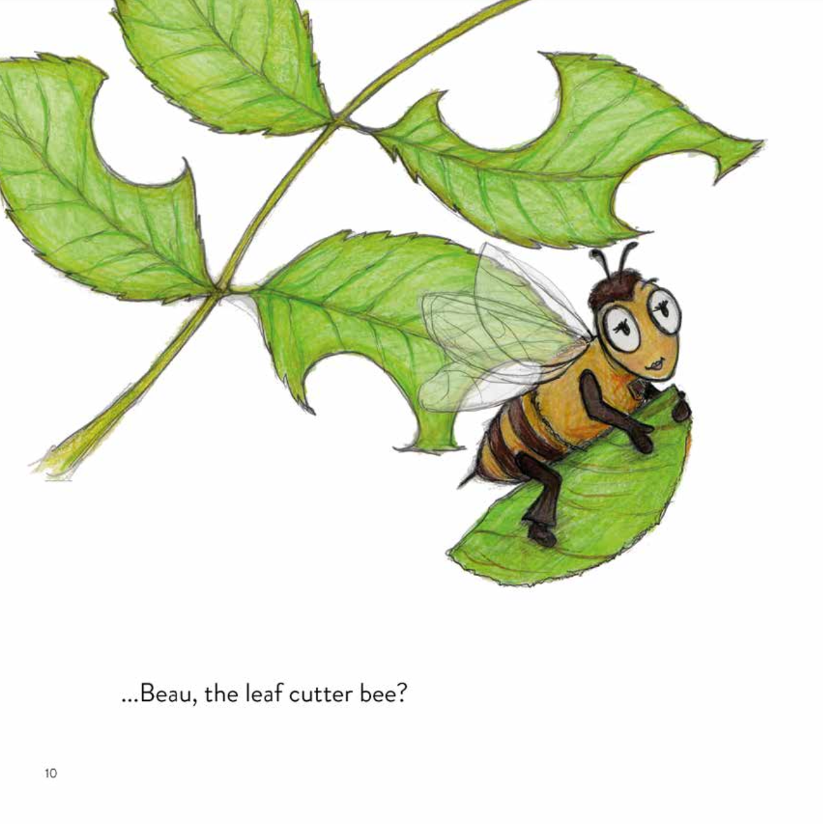 The Wee Little Bees - Made with Love