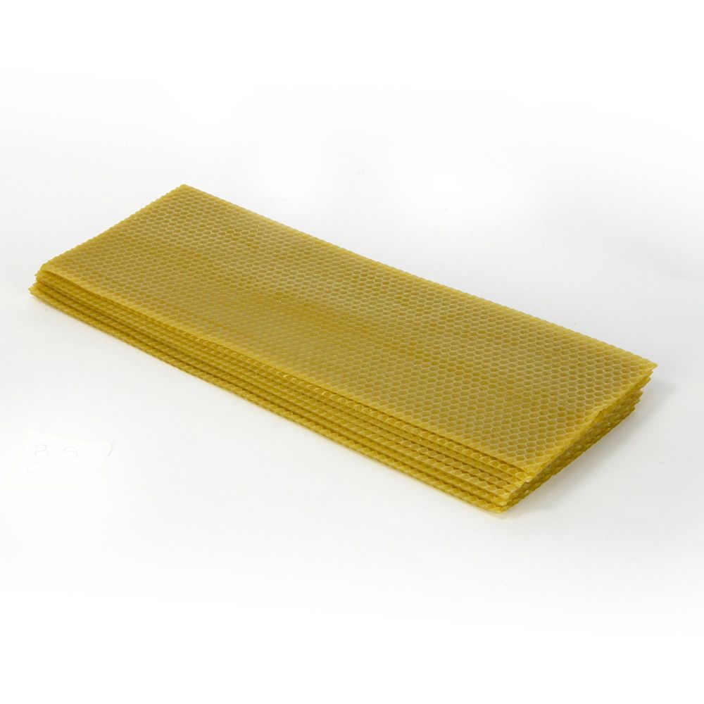 Cut Comb Wax Foundation Sheet (10)