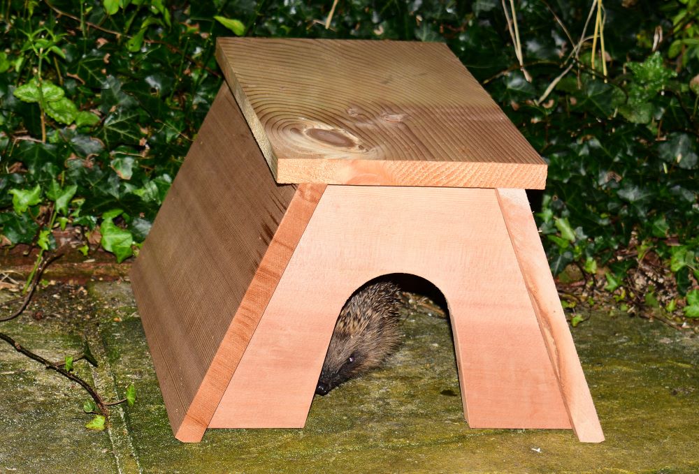 Cedar Hedgehog House