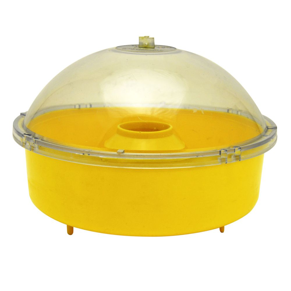 Dome Wasp Trap