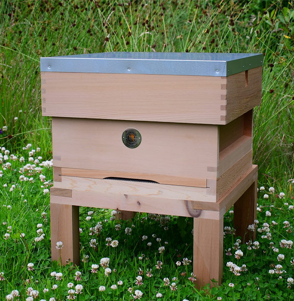 National Empty Hive With Flat Roof