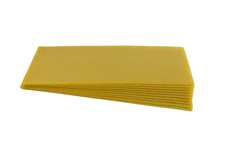 B.S. Shallow Sterilised Foundation 10 sheets