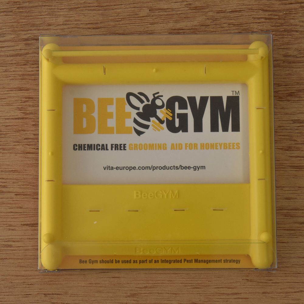 Bee Gym