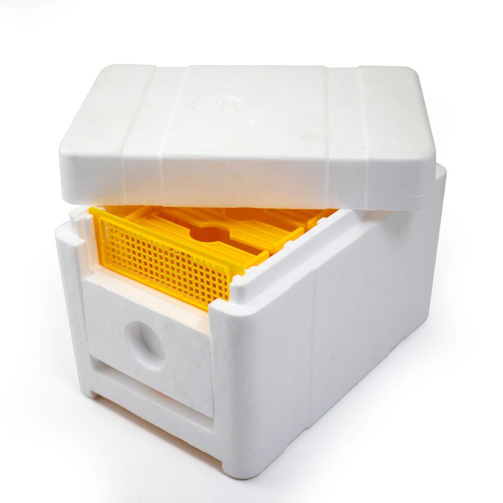 Economy Poly Mating Hive
