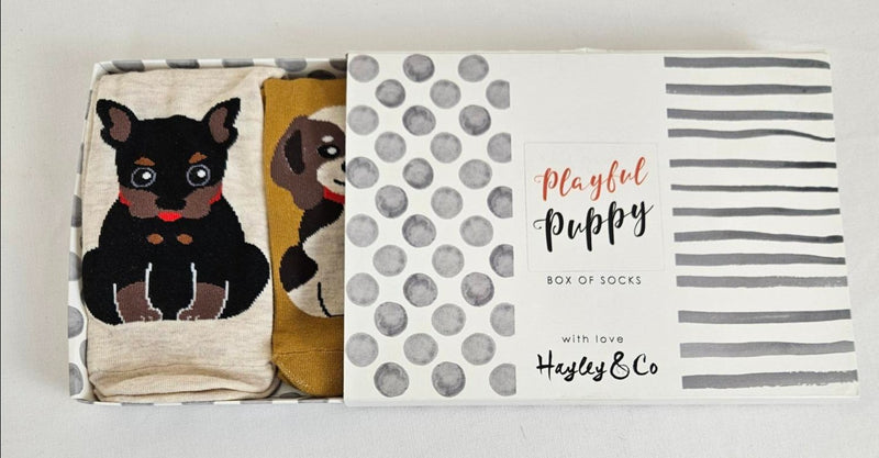 Playful Puppy Box of Socks