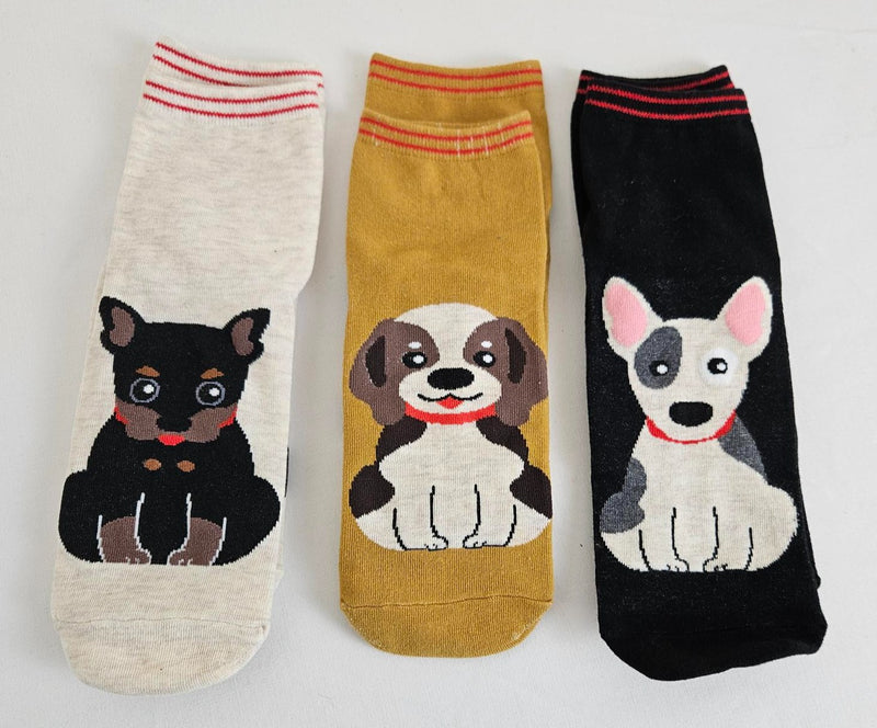 Playful Puppy Box of Socks