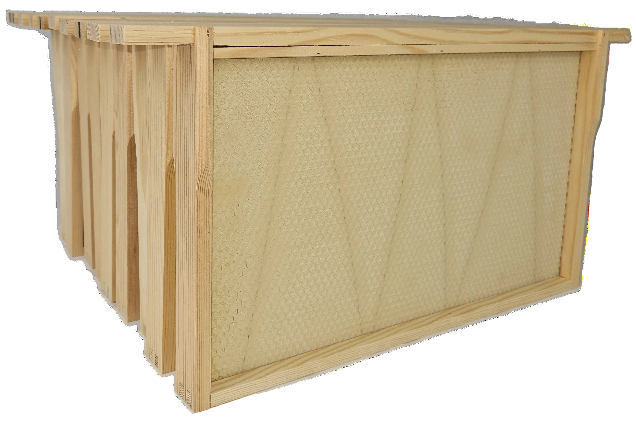 Poly Nuc BROOD BOX with Frames & Foundation
