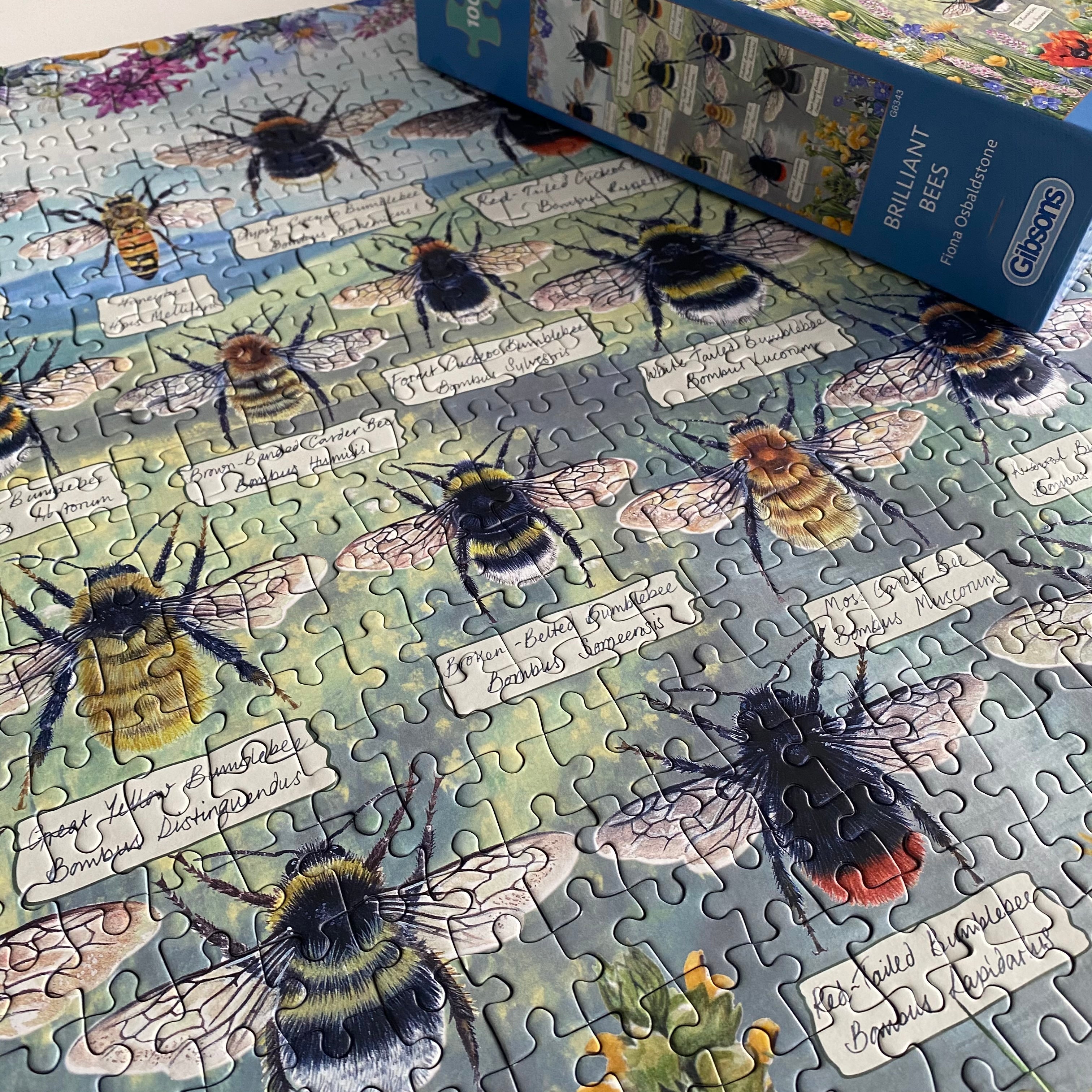 Brilliant Bees - 1000 piece jigsaw