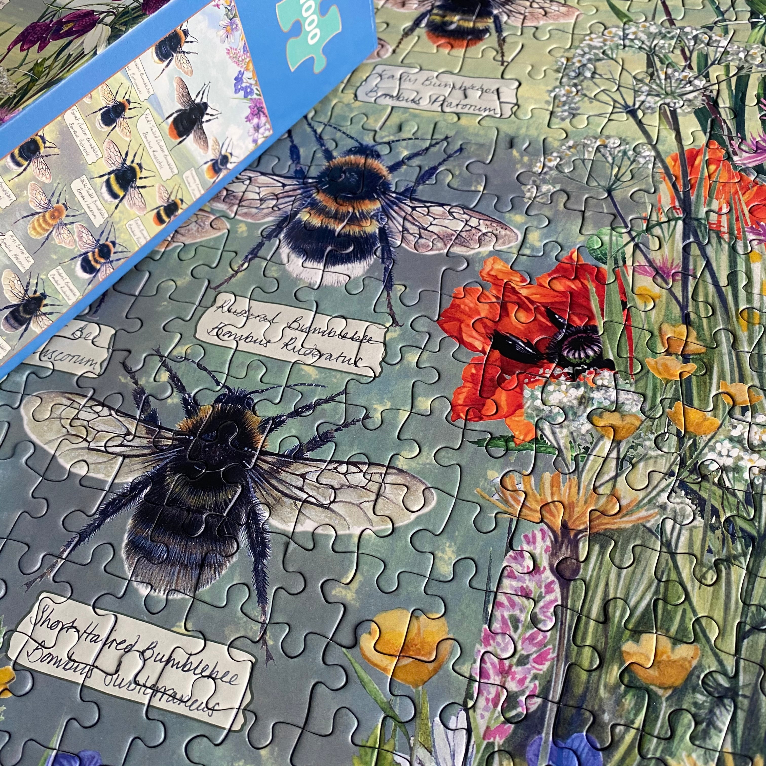 Brilliant Bees - 1000 piece jigsaw