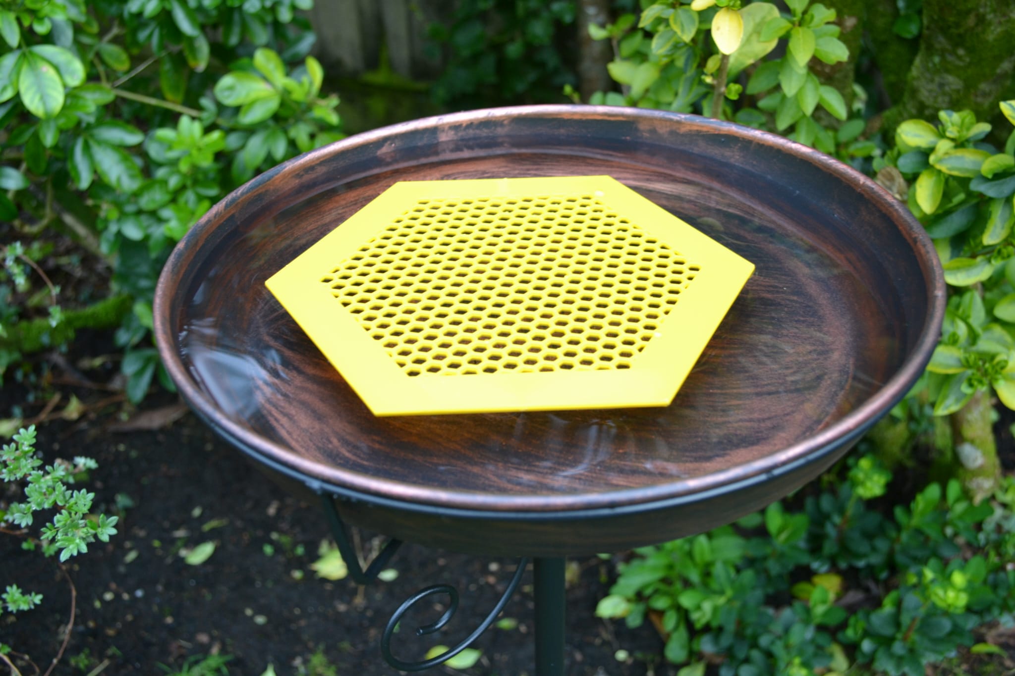 Floating Bee Island
