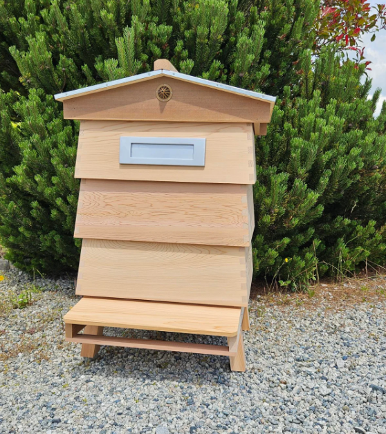 Letterbox Hive