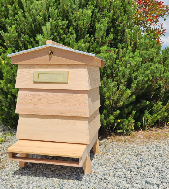 Letterbox Hive