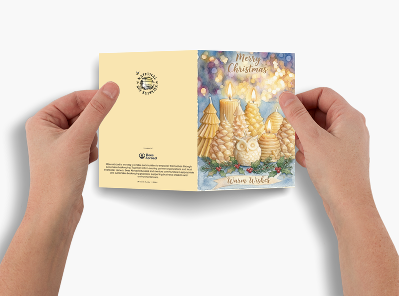 SHOW OFFER - Christmas Cards (Pack of 10, 2 designs)