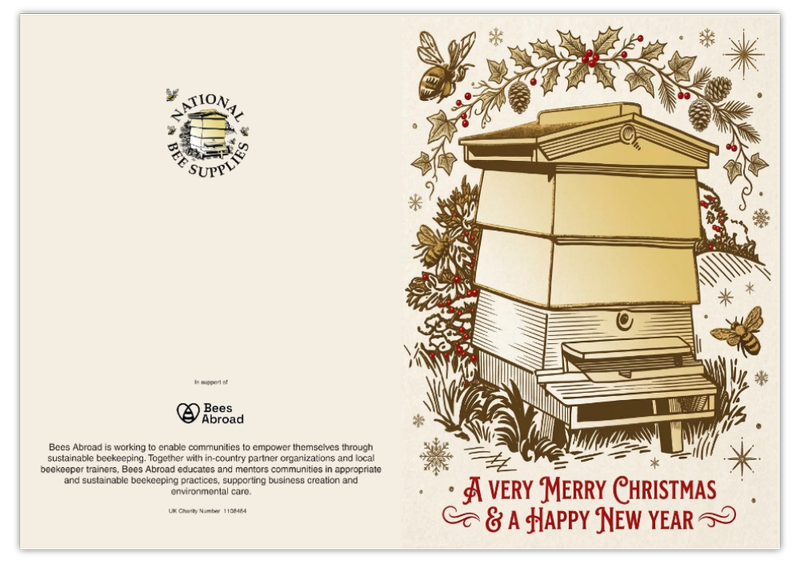 SHOW OFFER - Christmas Cards (Pack of 10, 2 designs)