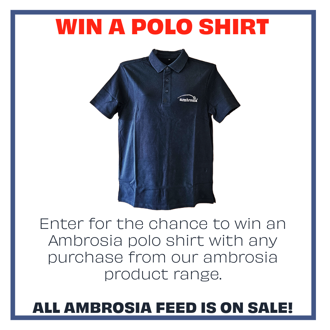 Ambrosia Feed Paste
