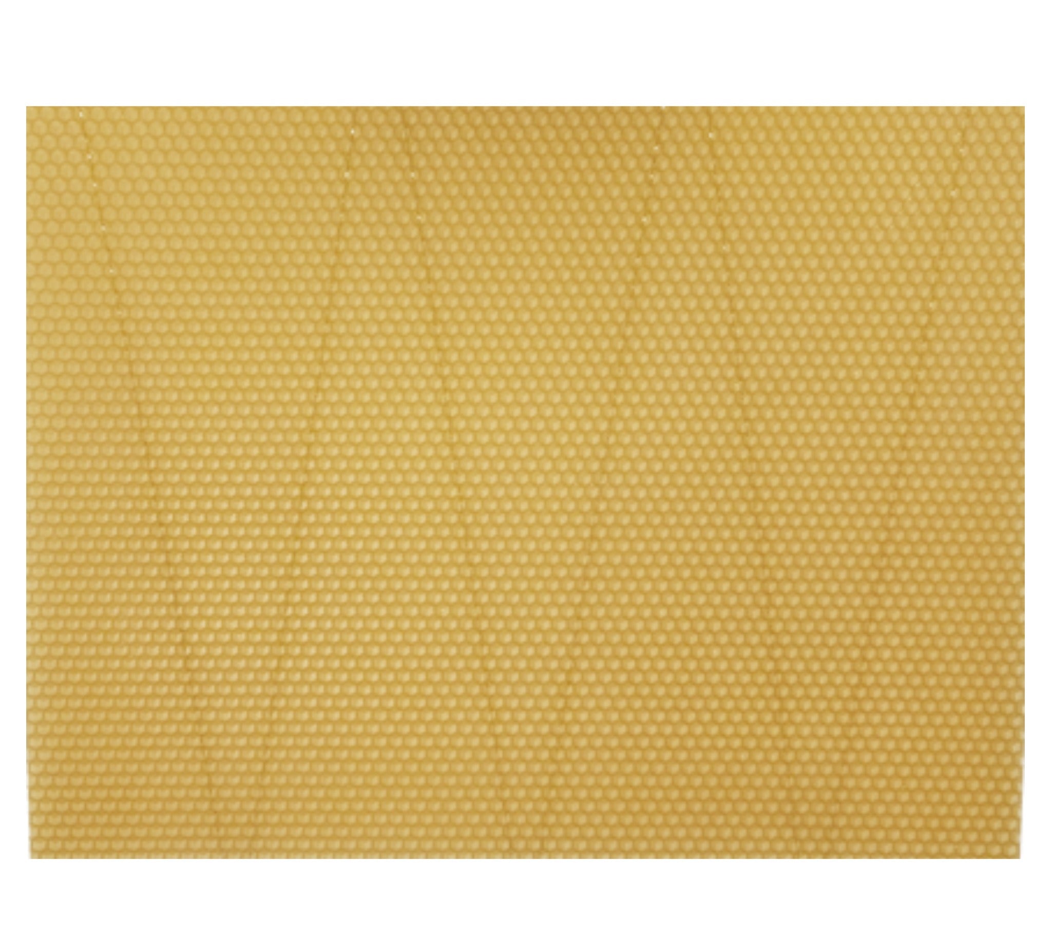 British Standard Sterilised foundation UNIT