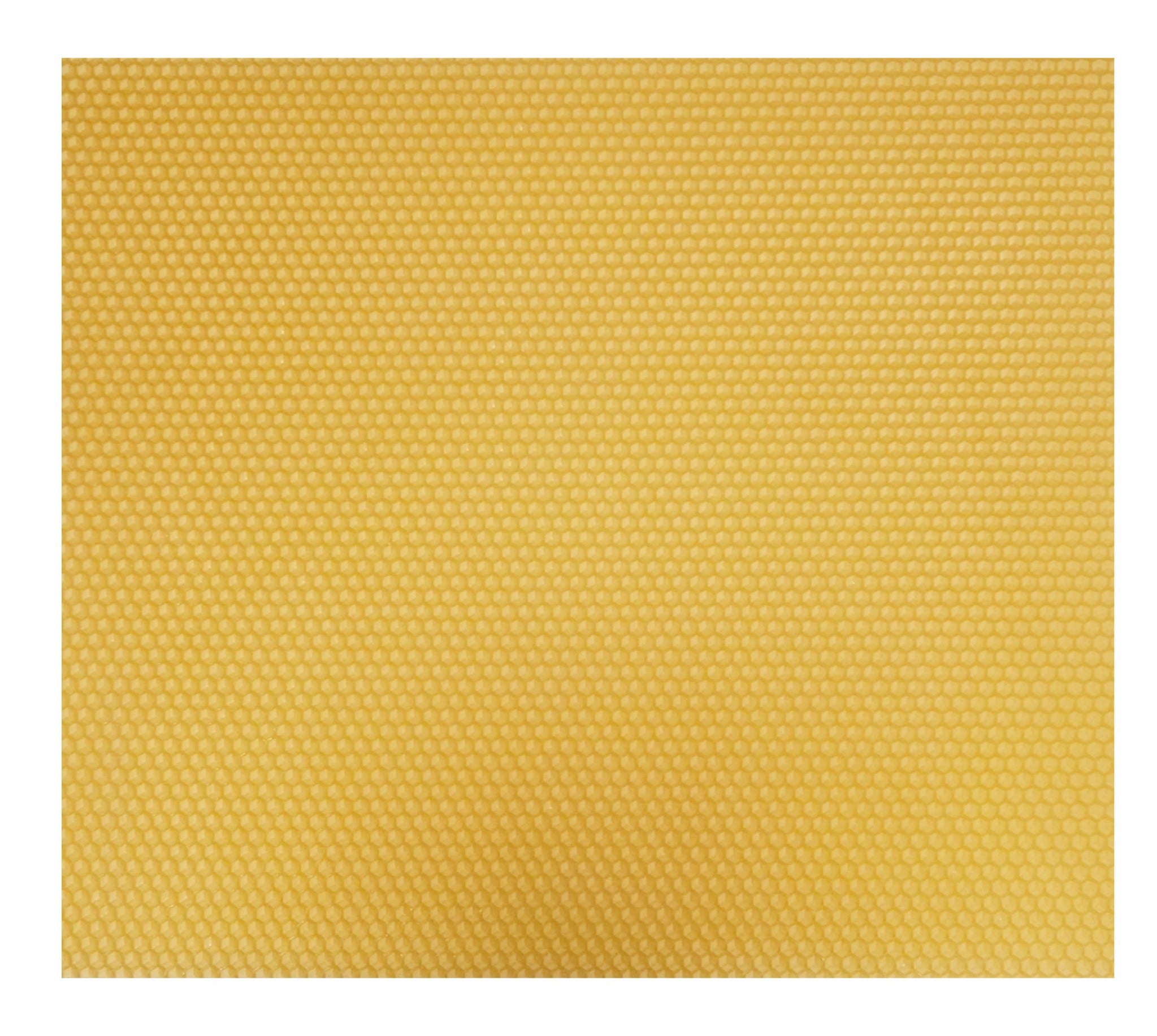 British Standard Sterilised foundation UNIT