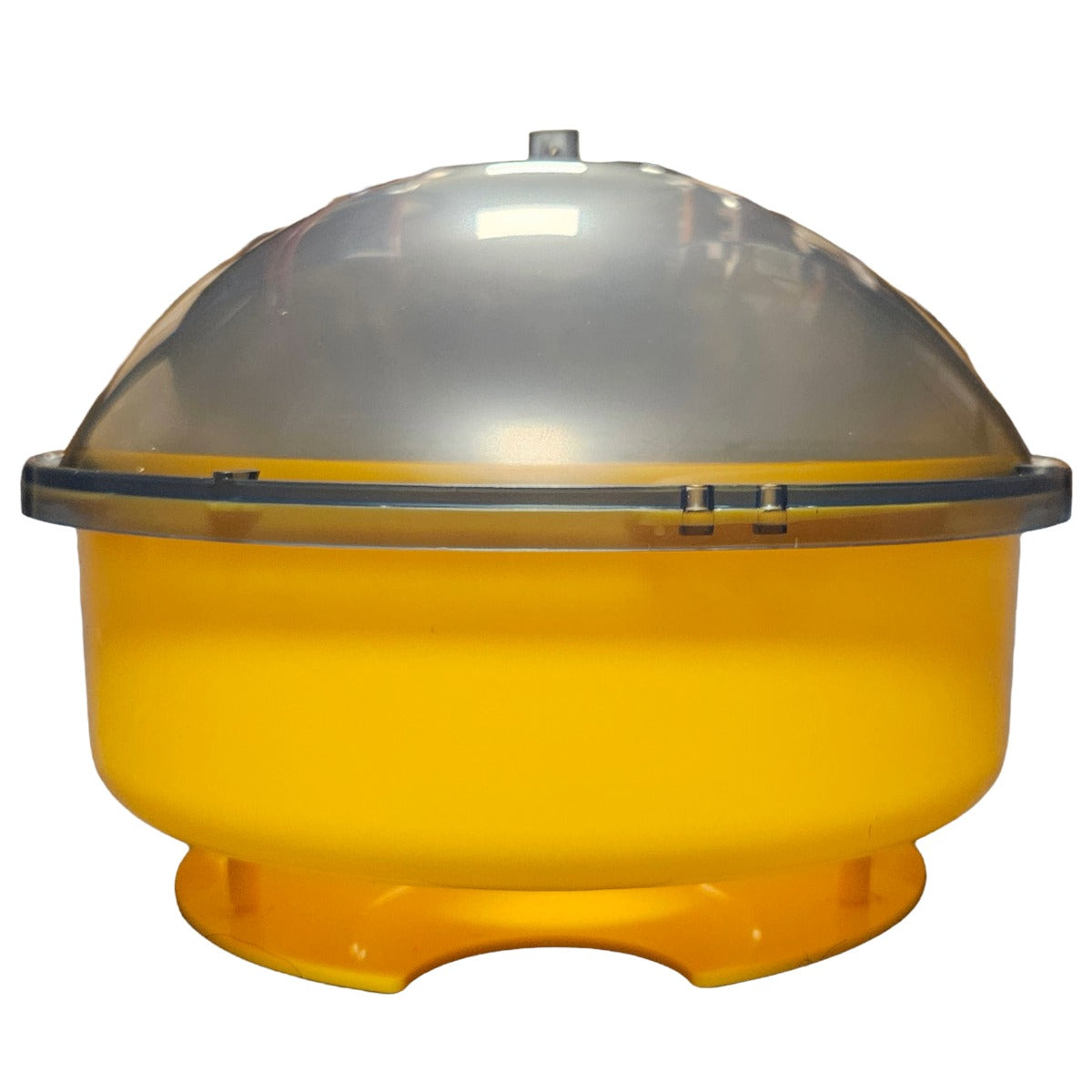Dome Wasp Trap