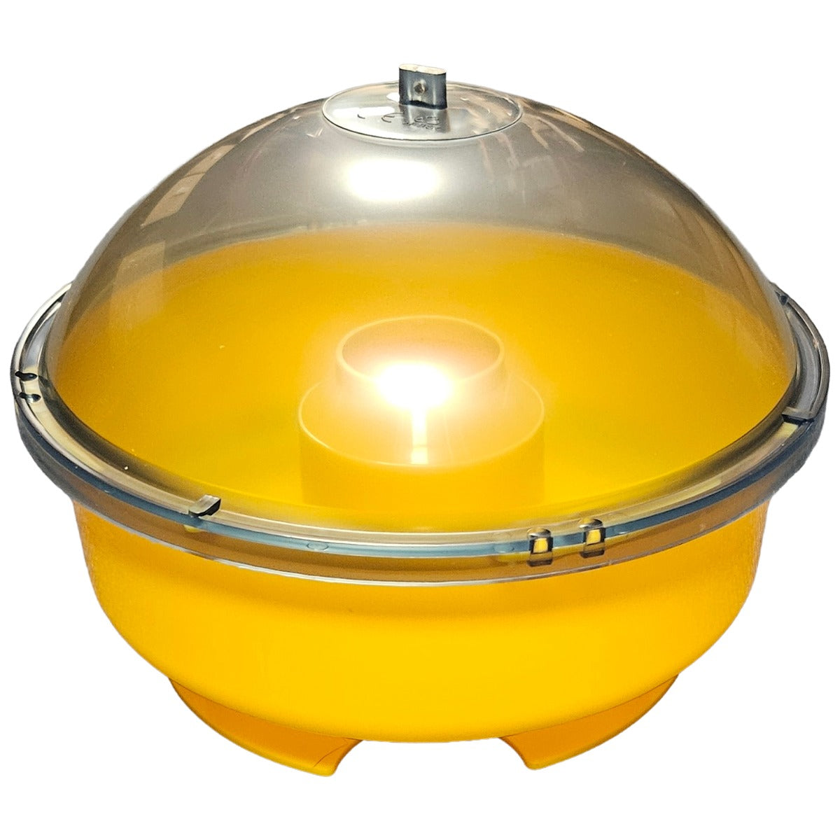 Dome Wasp Trap