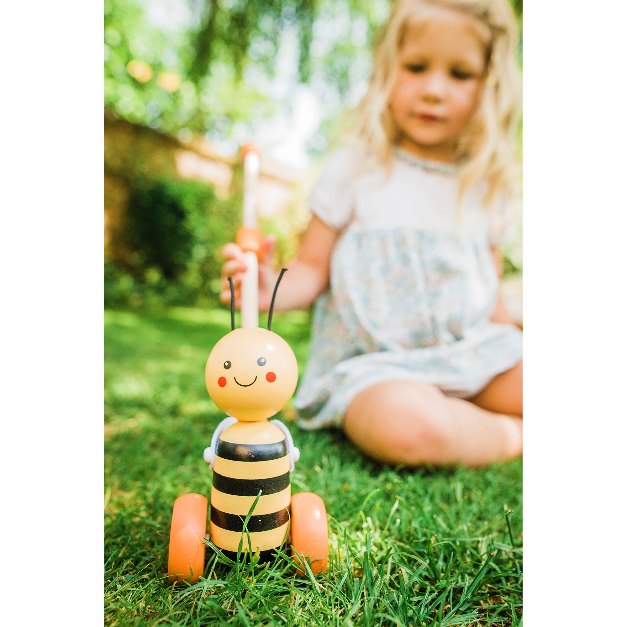 Honey Bee push Along