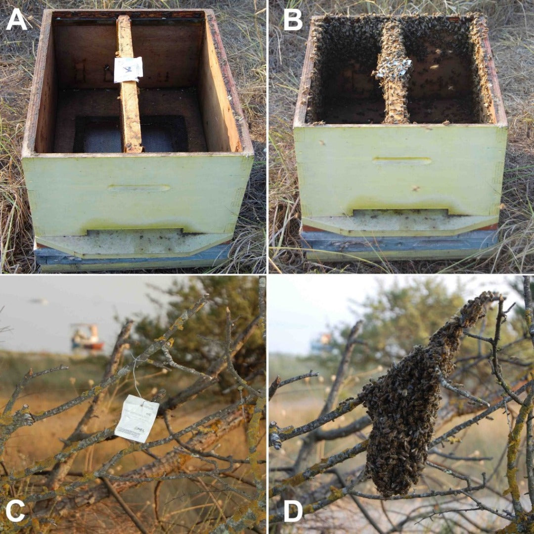 Swarm Wipes