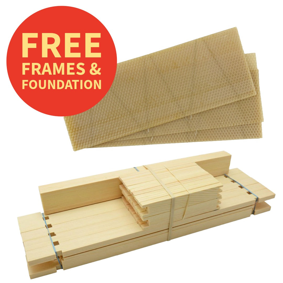 PROMO National Super with FREE Frames & Foundation Flat Pack