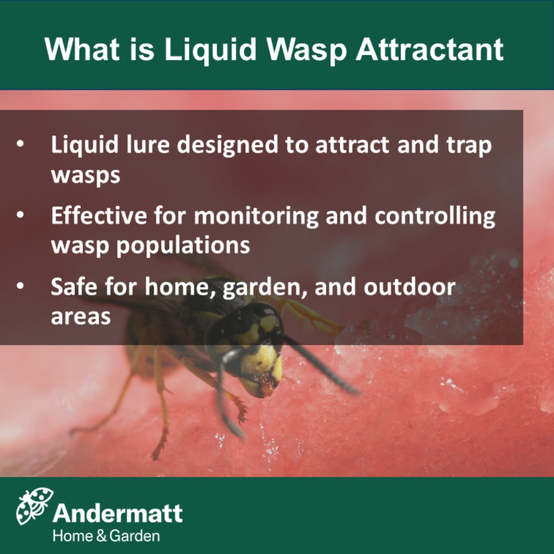 Liquid Wasp Attractant (500 ml)