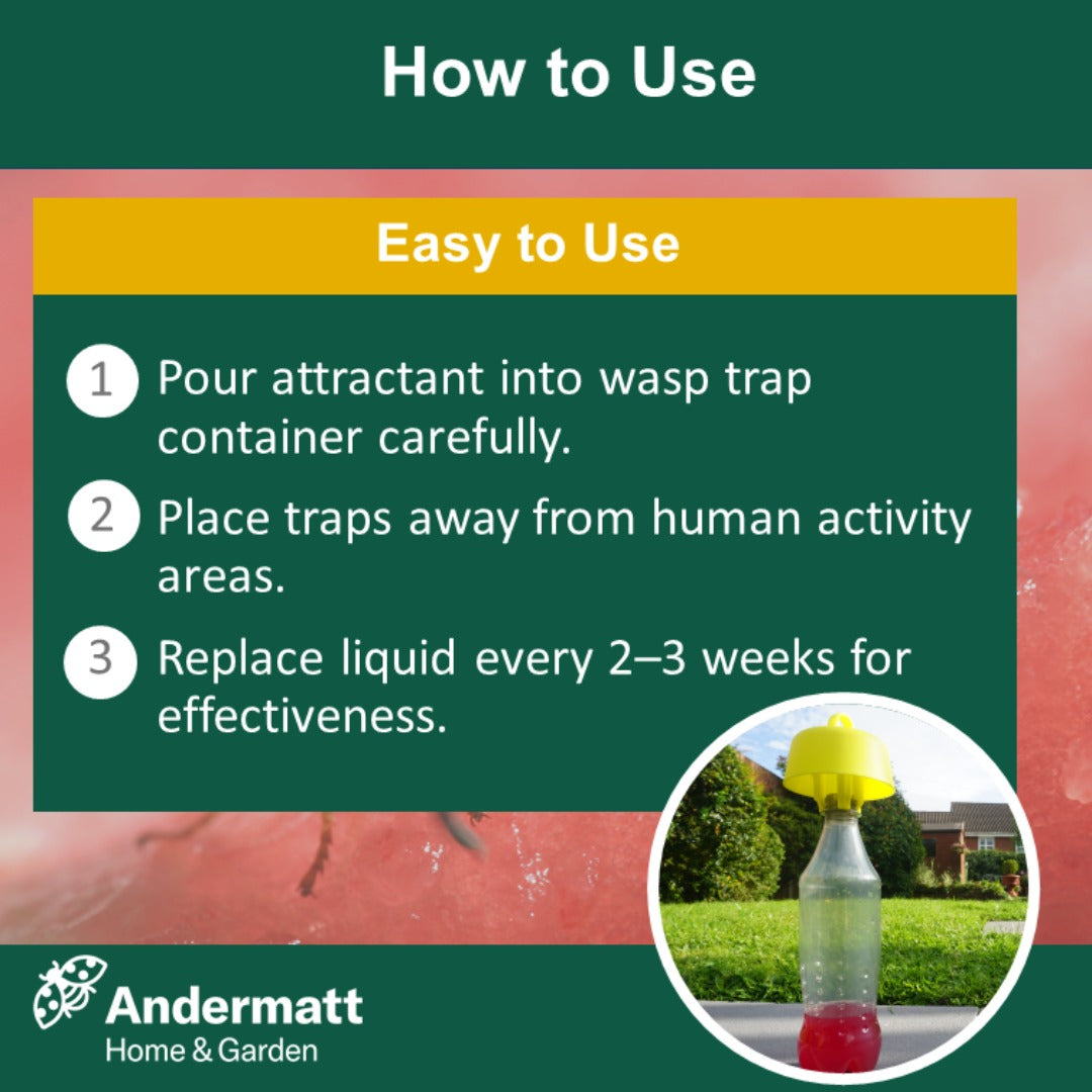 Liquid Wasp Attractant (500 ml)