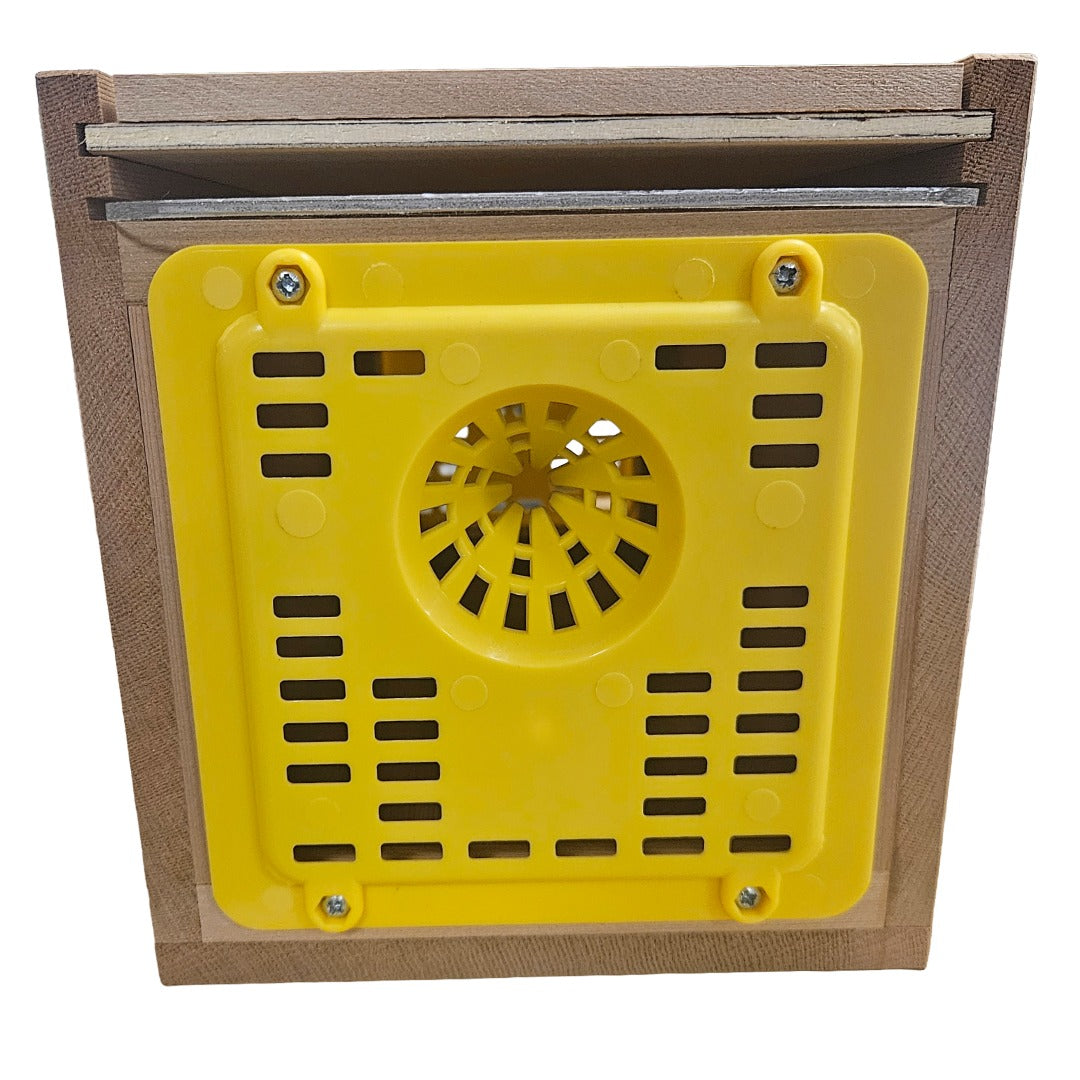 Cedar Hornet Bait Trap