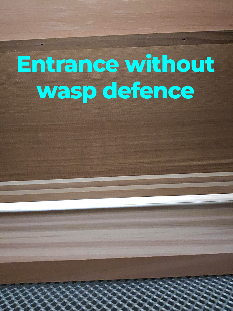 Wasp Entrance Block-  WBC