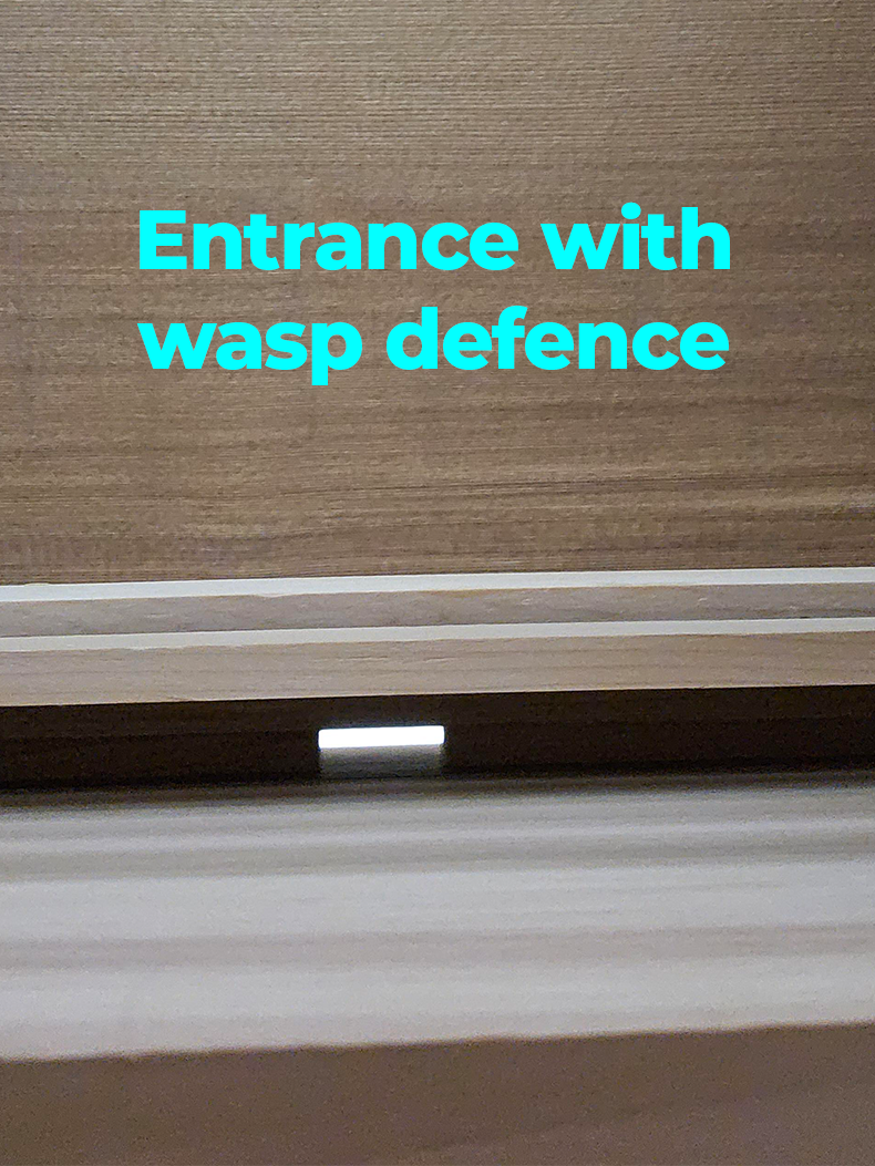 Wasp Entrance Block-  WBC