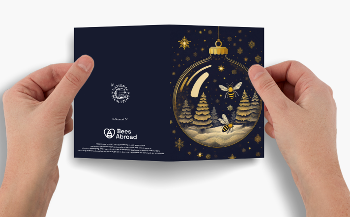 Christmas Cards - Bee In Bauble & Bee Merry (Pack of 10, 2 designs)