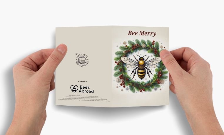 Christmas Cards - Bee In Bauble & Bee Merry (Pack of 10, 2 designs)