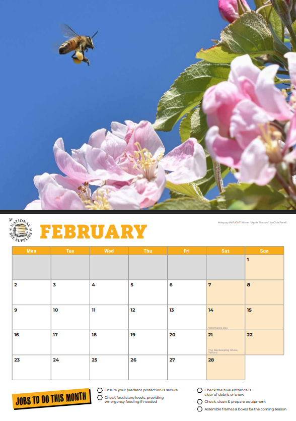 NBS Calendar 2026