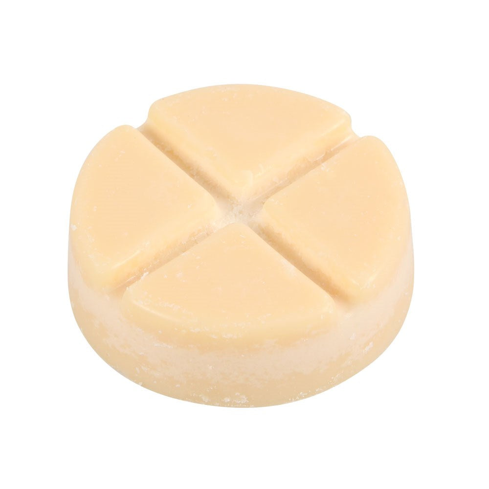 Wax Melt Burner Queen Bee Design