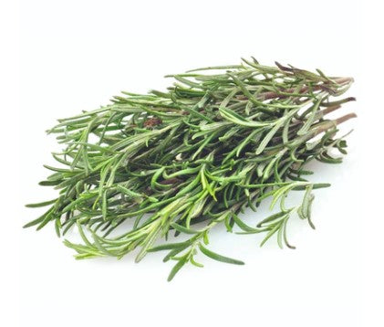 Herb Seed - Rosemary