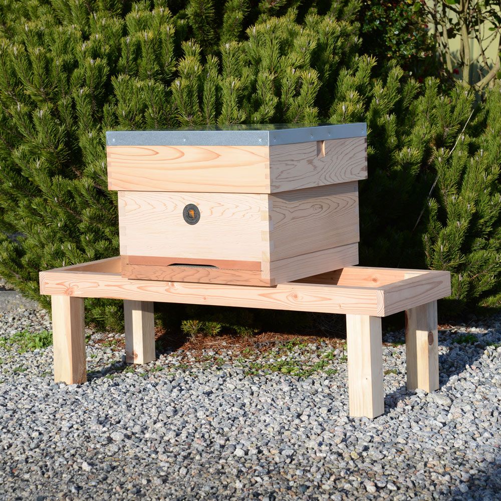 Commercial Empty Hive With Flat Roof