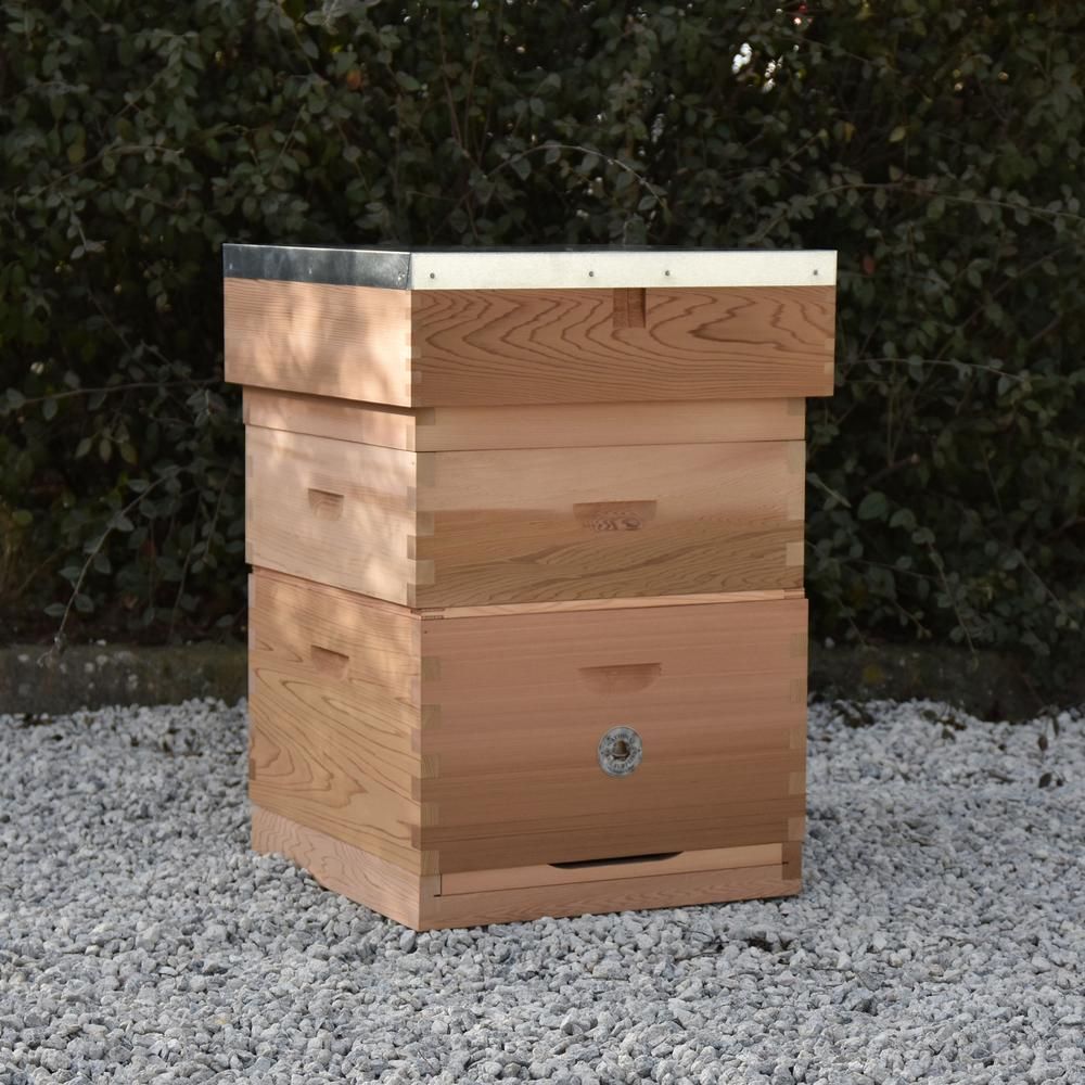 Commercial Hive Kit Flat Roof 2x Supers