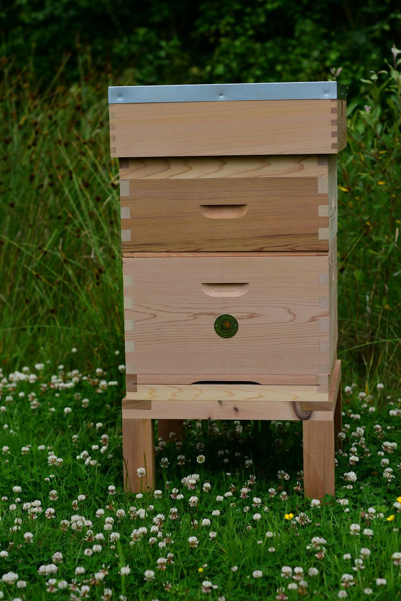 Commercial Complete Hive with Flat Roof - 2x Supers
