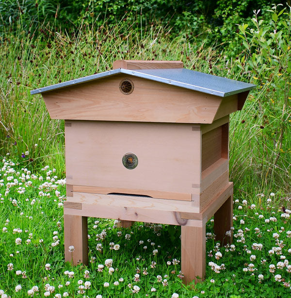 National Empty Hive With Gabled Roof