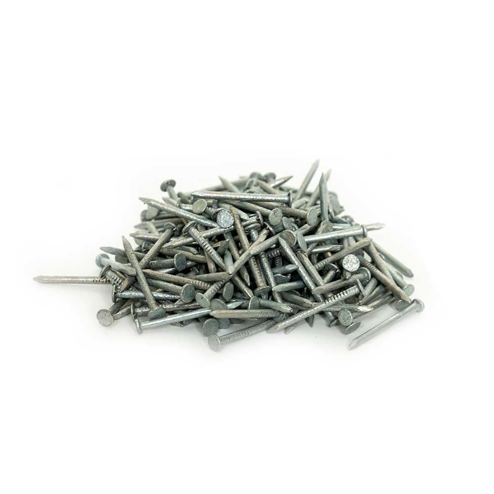 Roof Nails 100g
