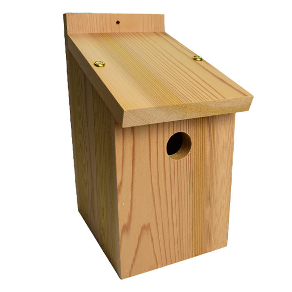 Cedar Blue & Great Tit Bird Box