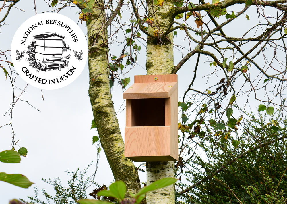 Cedar Robin Nest Box